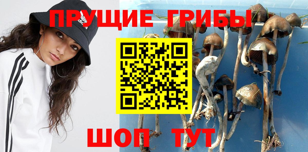 Галлюциногенные грибы прущие грибы  Вход с VPN  Псилоцибиновые грибы мухоморы  Солнечногорск 